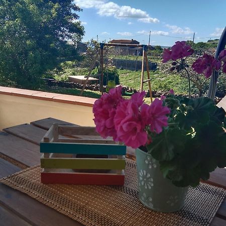 Casa Vacanze Janas Ruinas Екстер'єр фото