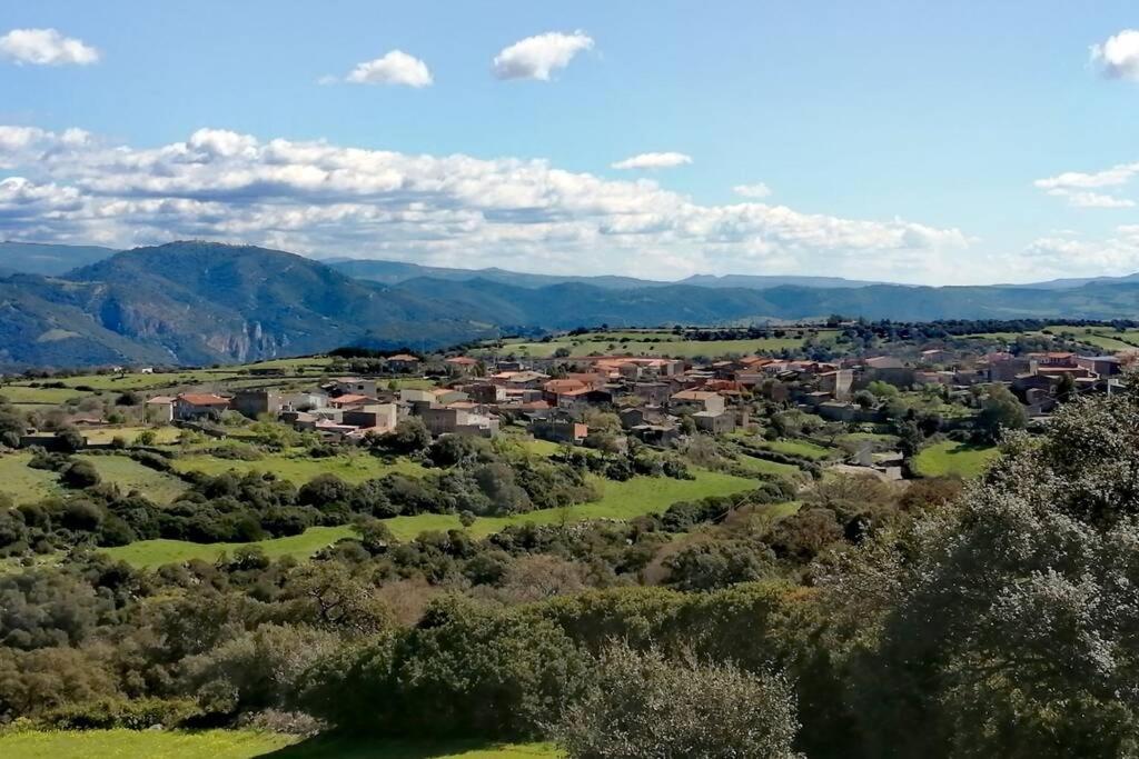 Casa Vacanze Janas Ruinas Екстер'єр фото