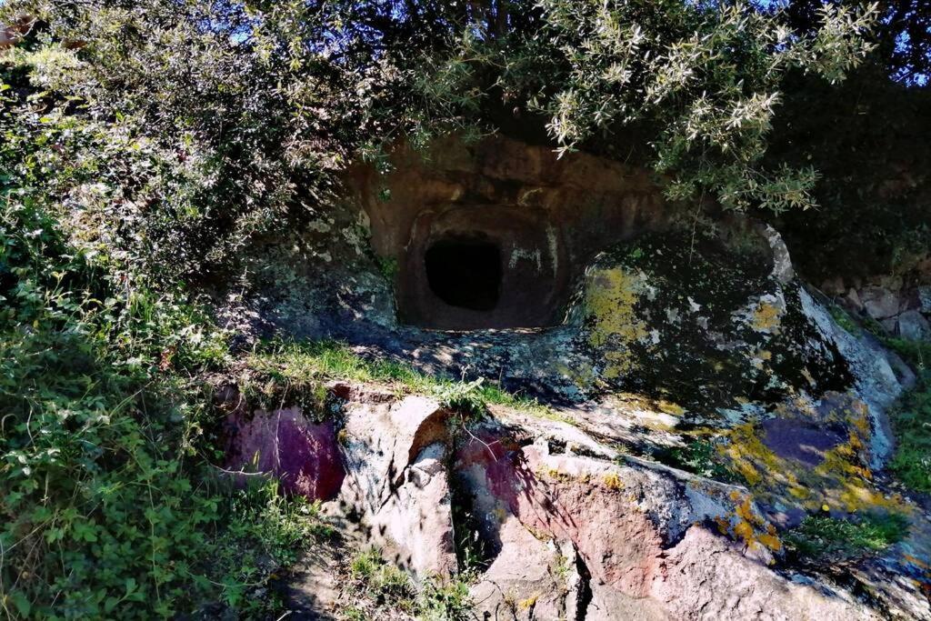 Casa Vacanze Janas Ruinas Екстер'єр фото
