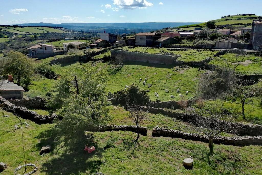 Casa Vacanze Janas Ruinas Екстер'єр фото